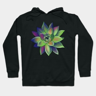 Colorful Succulent - Green, Pink & Orange - Transparent Hoodie